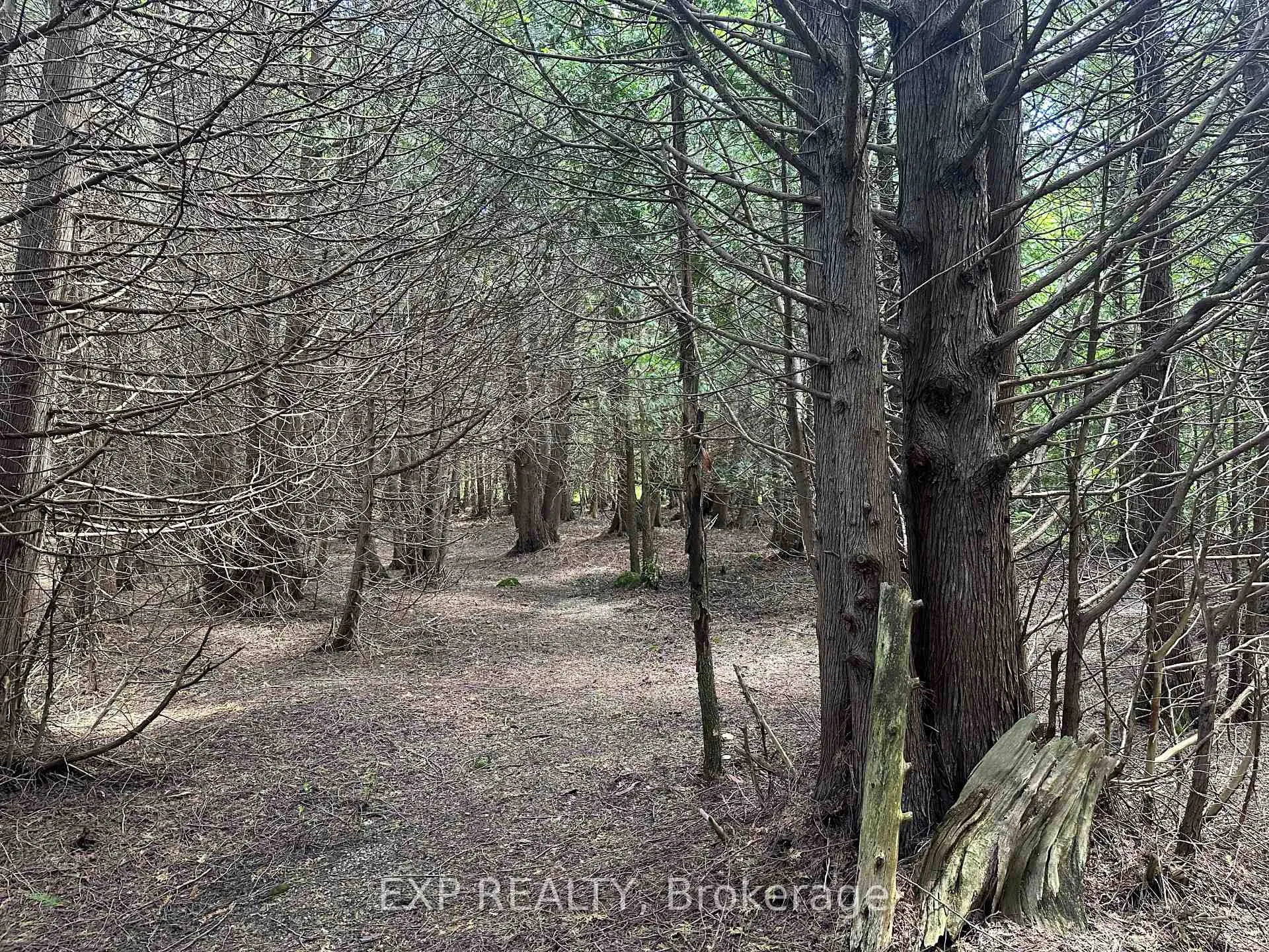 Photo 32 of 444425 Conc road 8 Concession, Grey Highlands — HOMEH