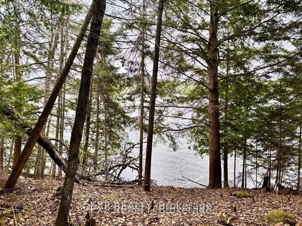 Photo 2 of B Lot Arbor Vitae Road, Madawaska Valley, Madawaska Valley — HOMEH