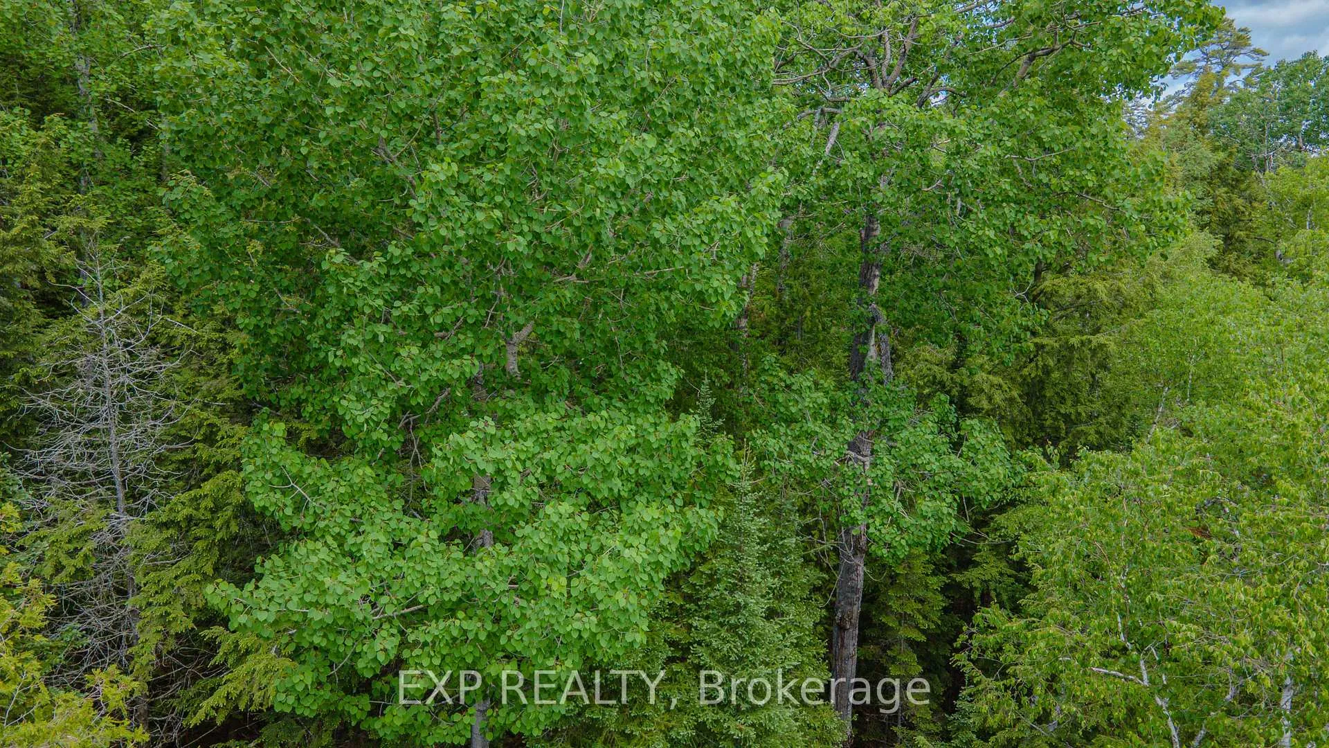 Photo 9 of B Lot Arbor Vitae Road, Madawaska Valley, Madawaska Valley — HOMEH