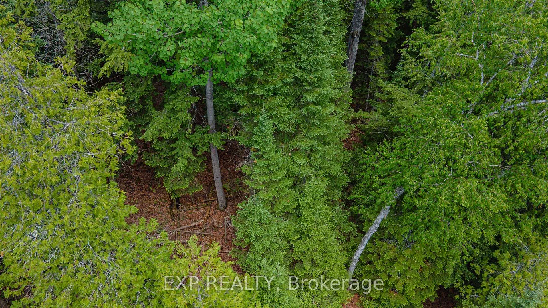 Photo 10 of B Lot Arbor Vitae Road, Madawaska Valley, Madawaska Valley — HOMEH