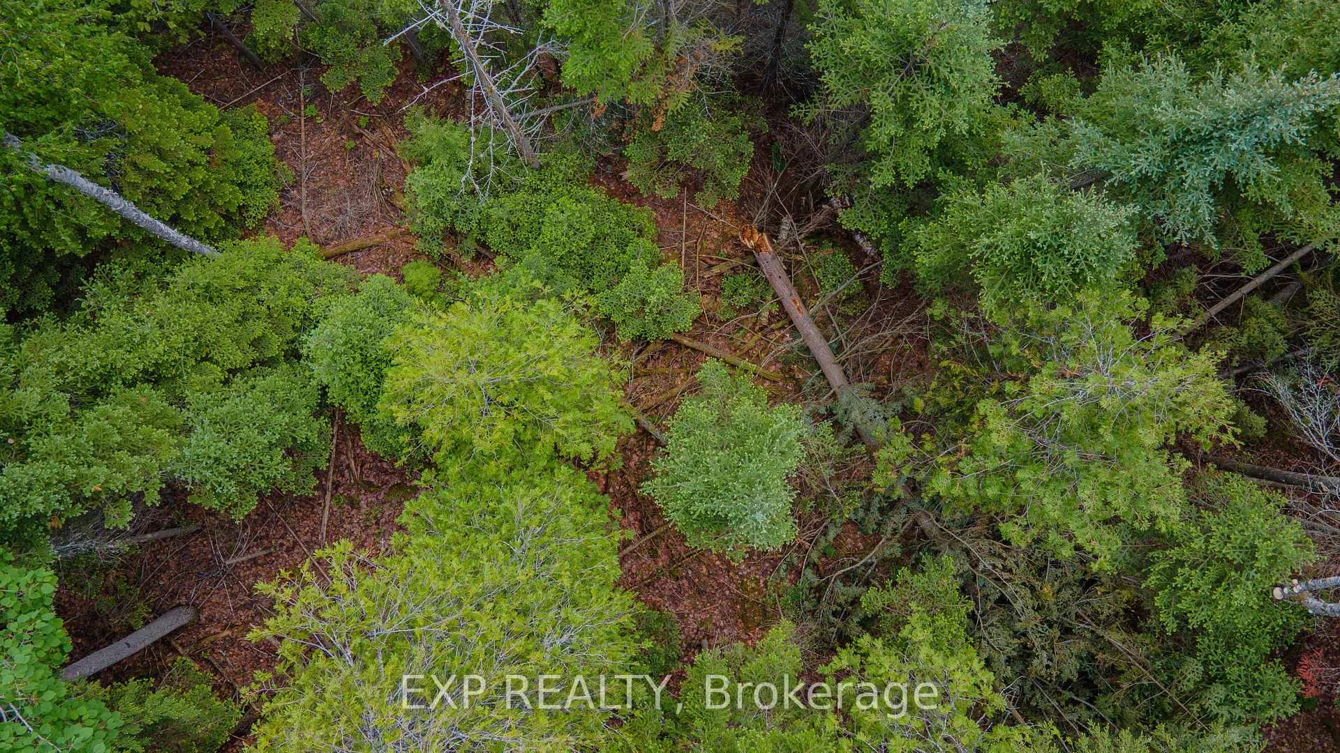 Photo 14 of B Lot Arbor Vitae Road, Madawaska Valley, Madawaska Valley — HOMEH