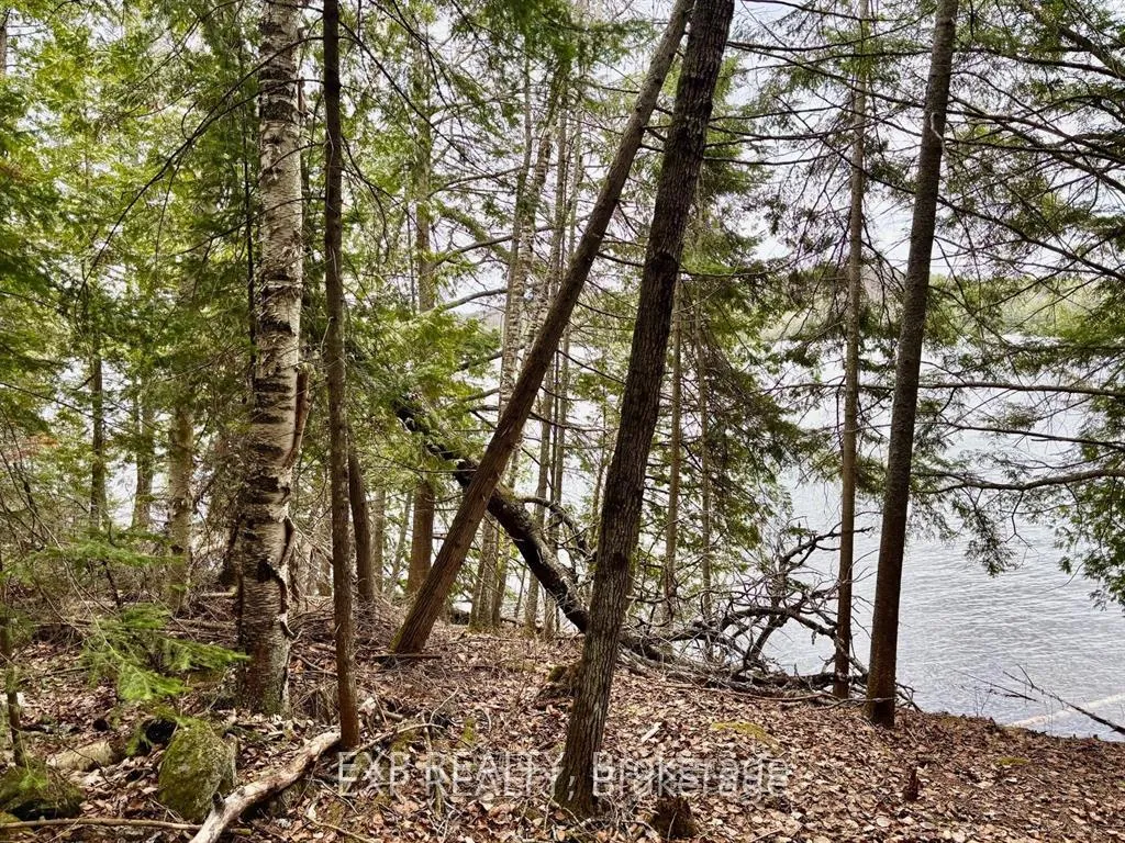 Photo 20 of B Lot Arbor Vitae Road, Madawaska Valley, Madawaska Valley — HOMEH