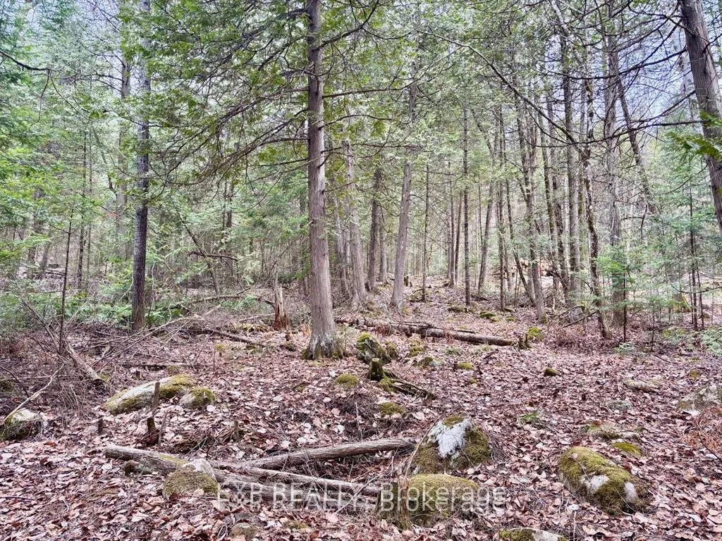 Photo 21 of B Lot Arbor Vitae Road, Madawaska Valley, Madawaska Valley — HOMEH