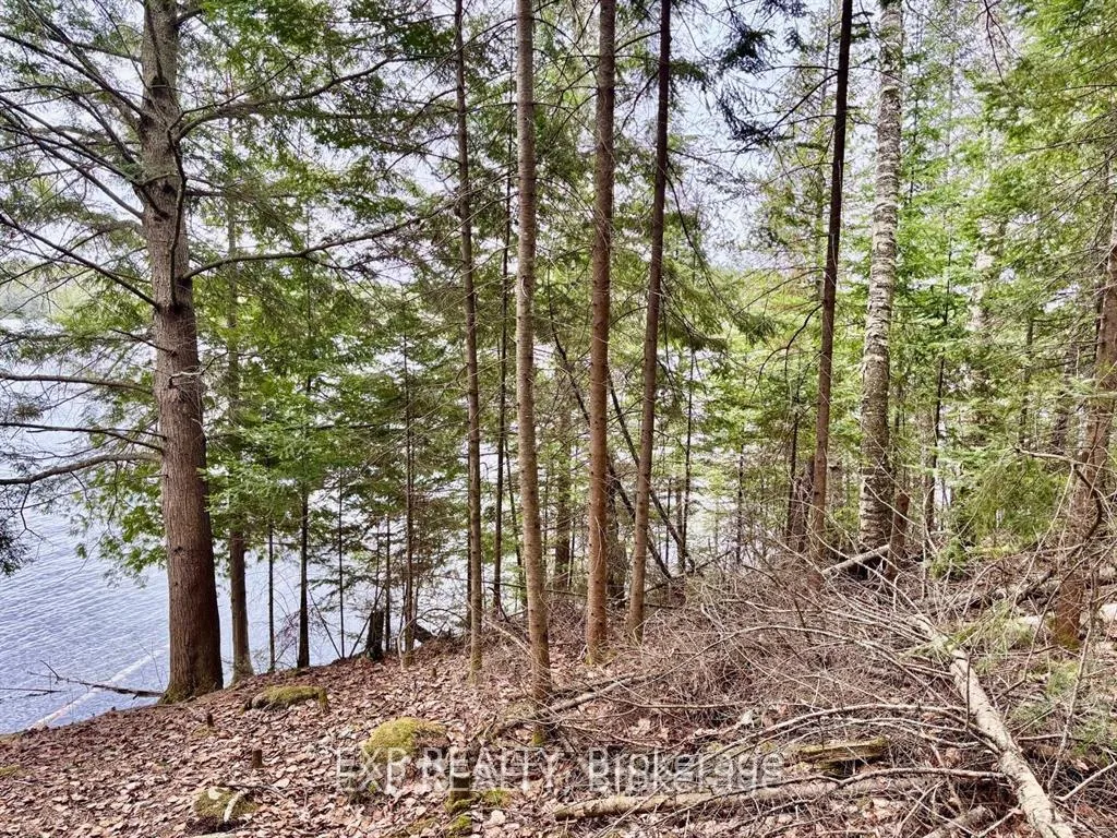 Photo 22 of B Lot Arbor Vitae Road, Madawaska Valley, Madawaska Valley — HOMEH