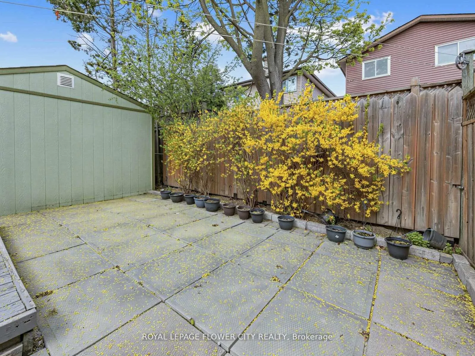 Photo 35 of 16 Blossom Avenue, Brampton, Downtown Brampton — HOMEH