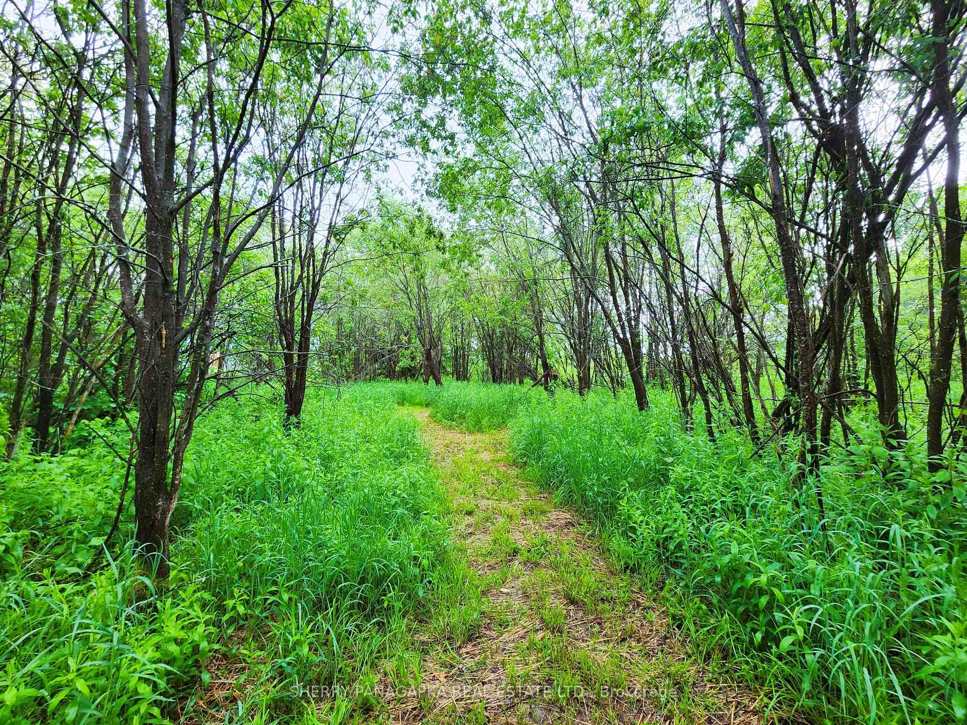 Photo 34 of 68 Fourth Avenue, Kirkland Lake, Larder Lake — HOMEH