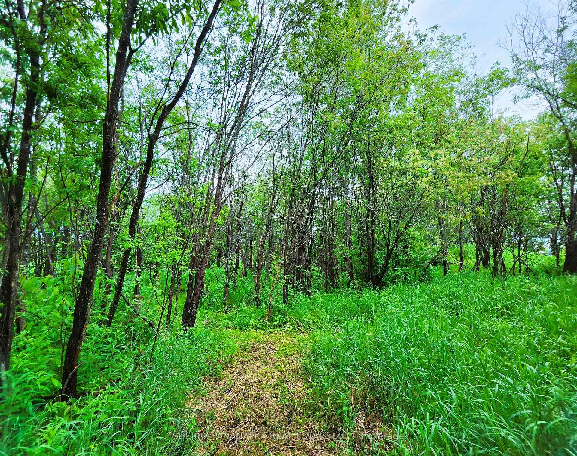 Photo 35 of 68 Fourth Avenue, Kirkland Lake, Larder Lake — HOMEH