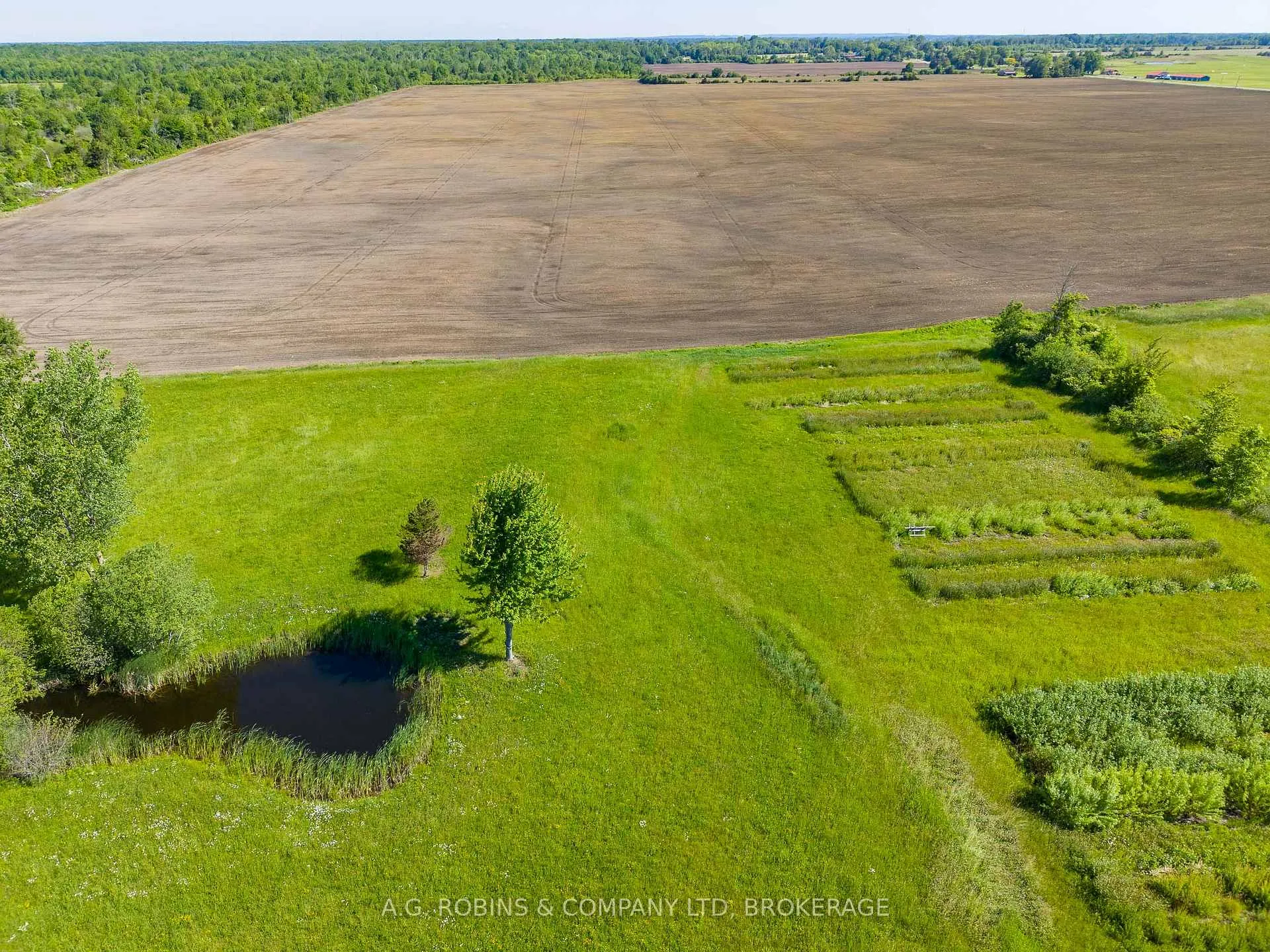 Photo 38 of 11716 Lakeshore Road, Wainfleet, Lakeshore — HOMEH