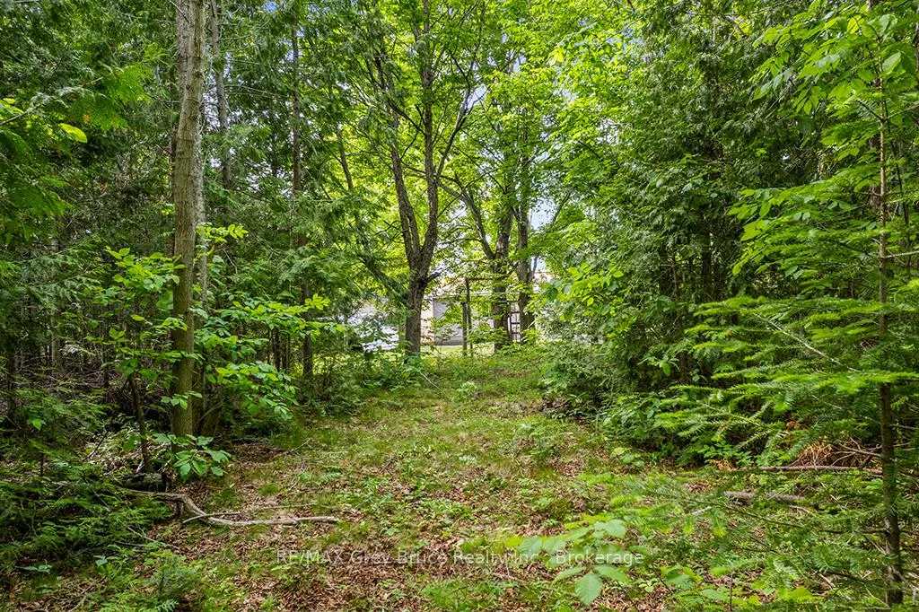 Photo 29 of 335 Pike Bay Road, Northern Bruce Peninsula — HOMEH