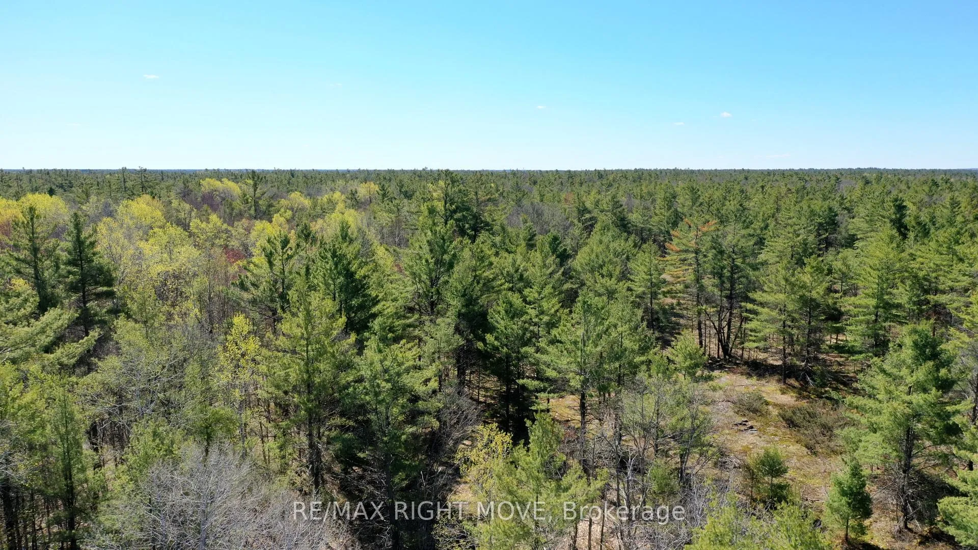 Photo 1 of 2503 Southwood Road, Gravenhurst, Morrison — HOMEH