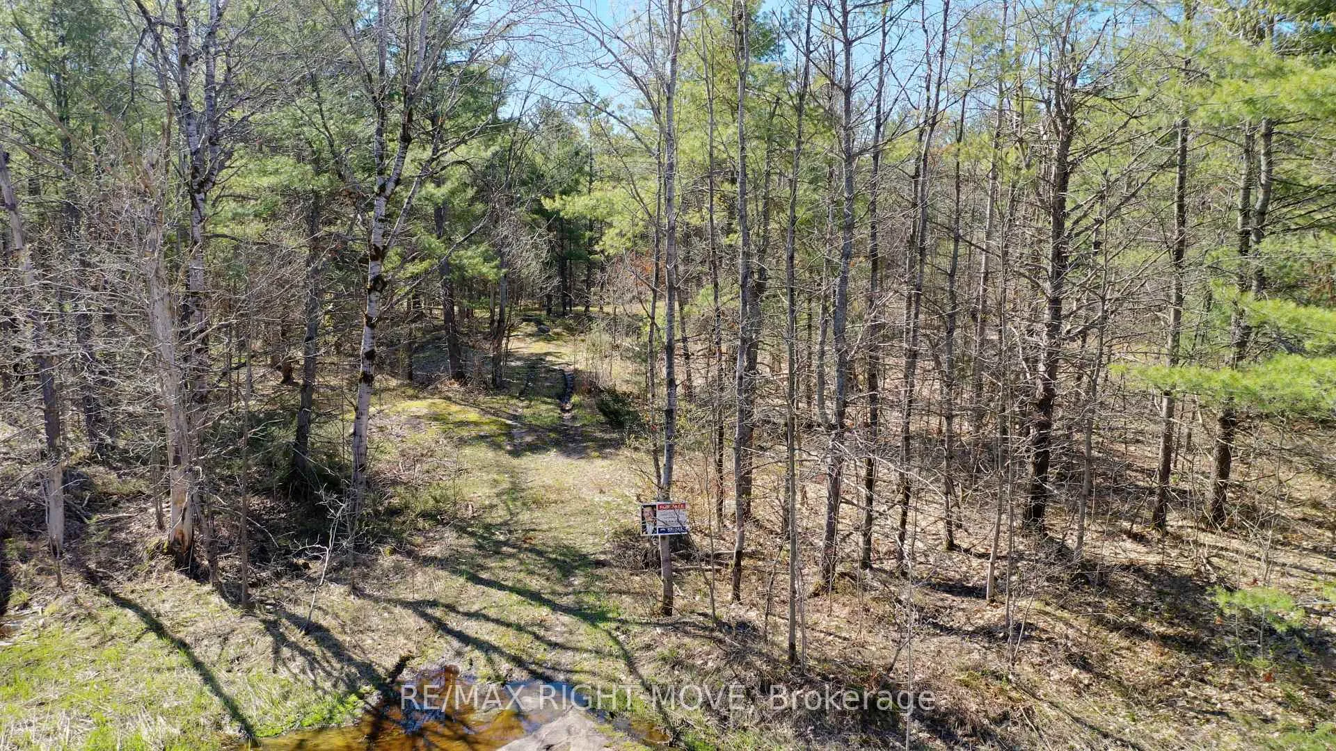 Photo 2 of 2503 Southwood Road, Gravenhurst, Morrison — HOMEH