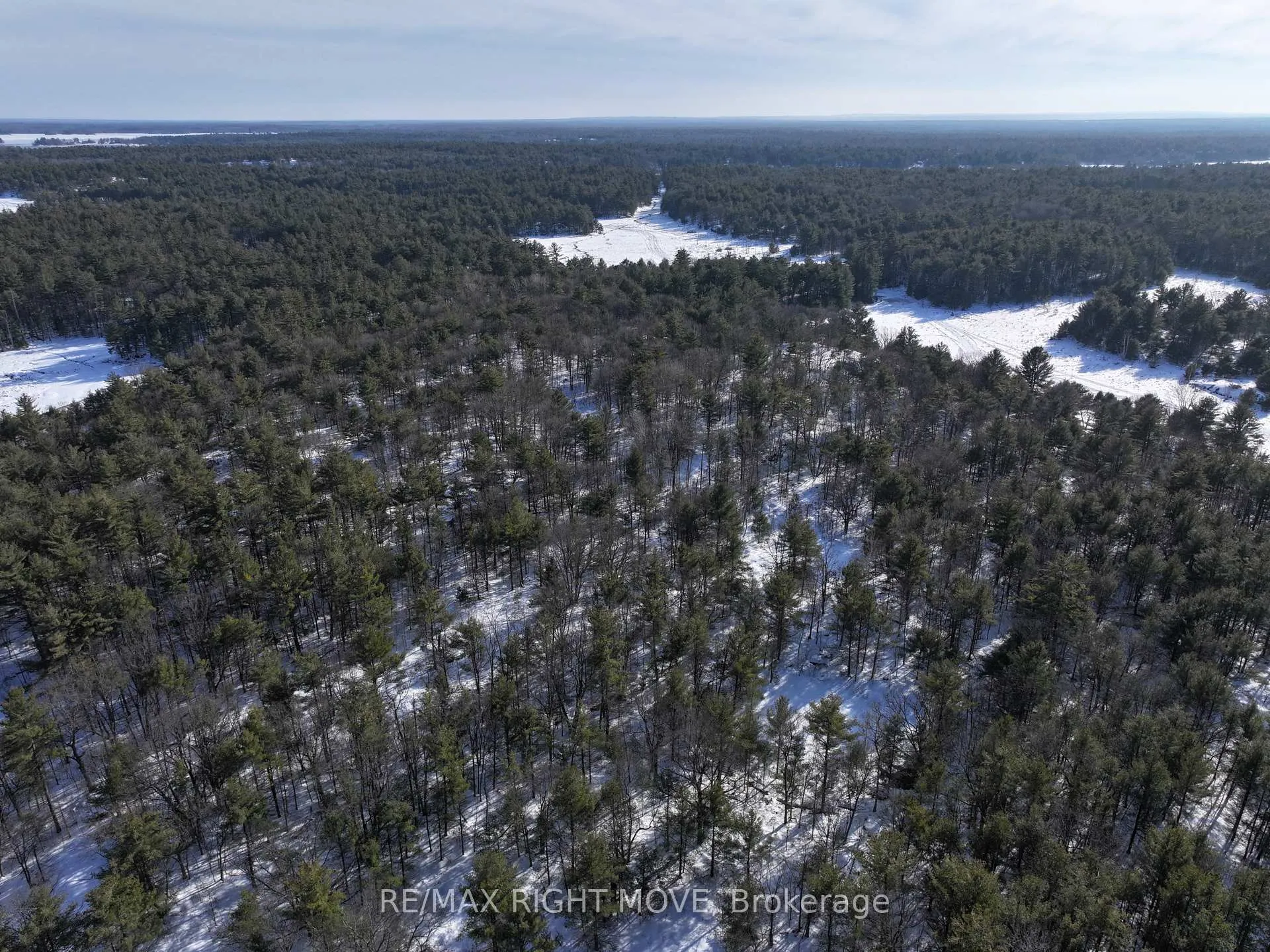 Photo 5 of 2503 Southwood Road, Gravenhurst, Morrison — HOMEH
