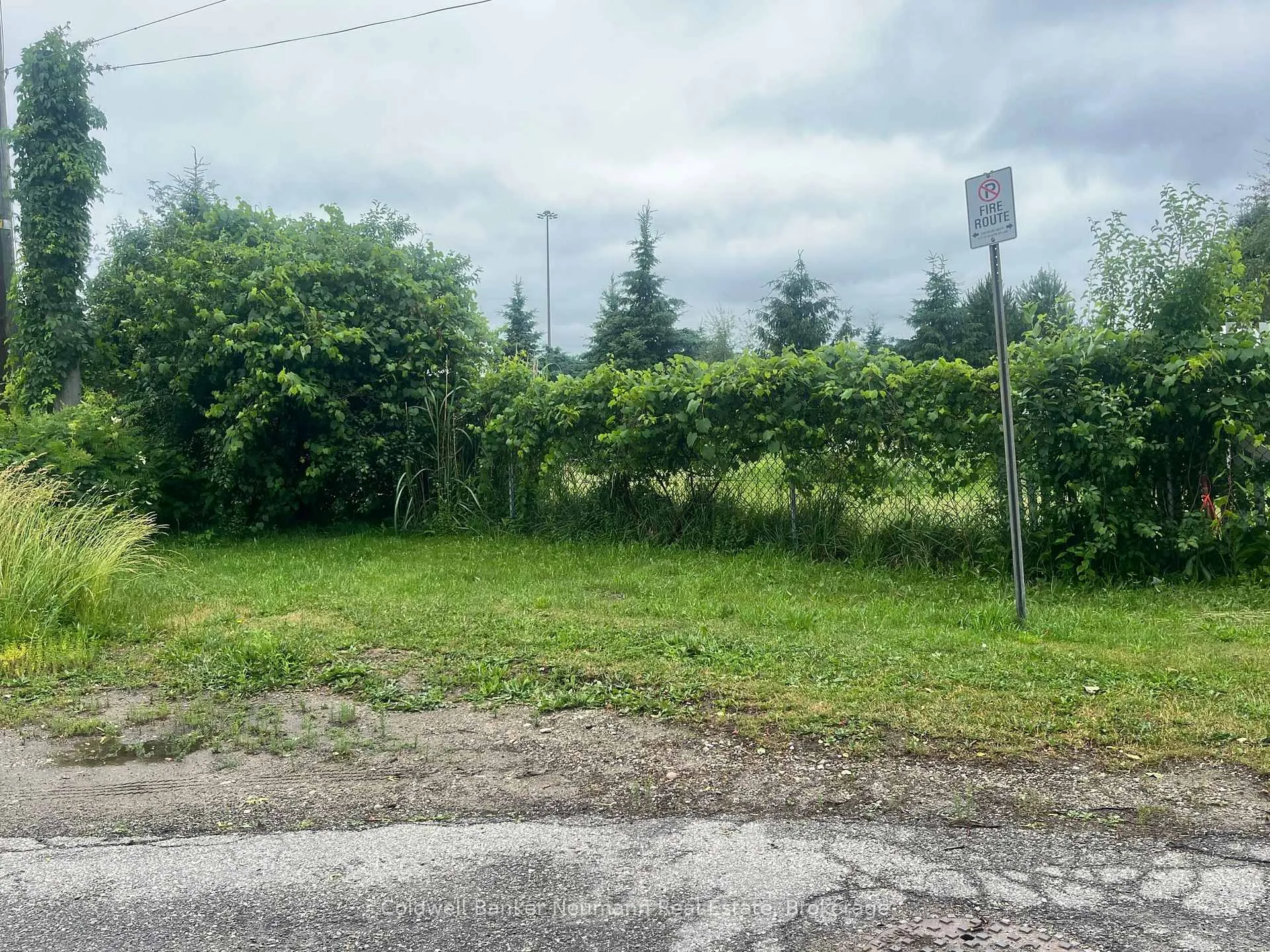 Photo 5 of 9 Eden Street, Guelph, Junction/Onward Willow — HOMEH