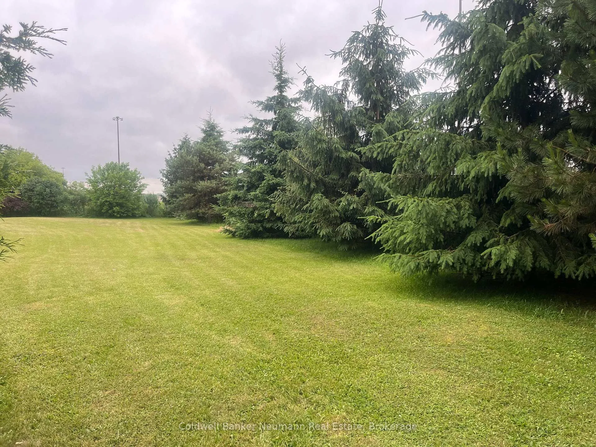 Photo 6 of 9 Eden Street, Guelph, Junction/Onward Willow — HOMEH