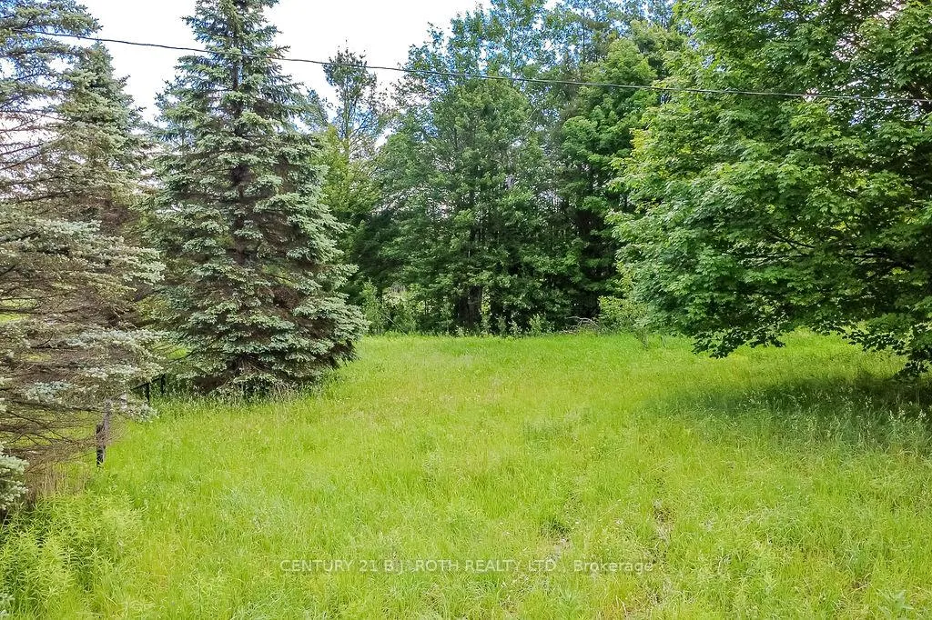 Photo 5 of 1205 Fair Grounds Road, Ramara, Rural Ramara — HOMEH