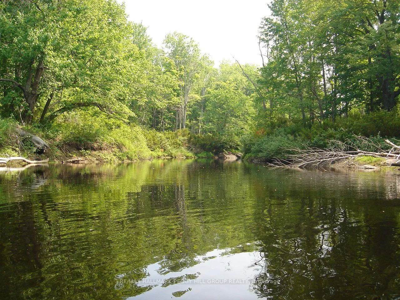 Photo 12 of 7012 County Road 169, Ramara, Rural Ramara — HOMEH