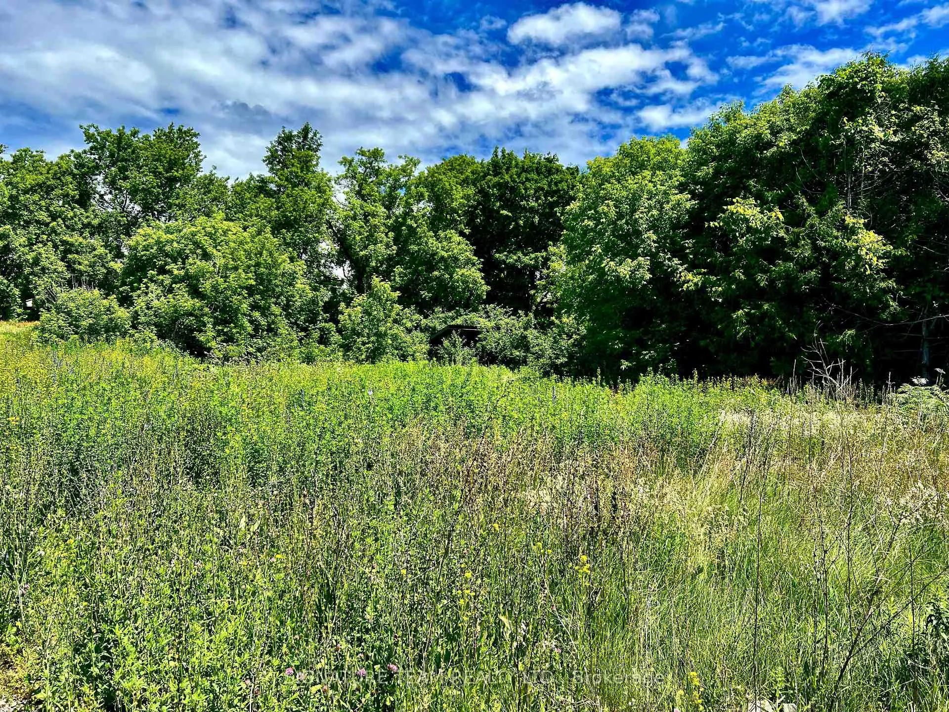 Photo 12 of 203 John Street, Bonnechere Valley, Eganville/Bonnechere Twp — HOMEH