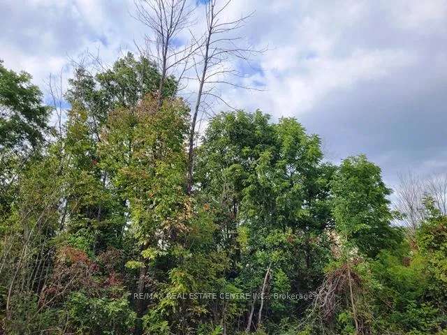 Photo 5 of 46 Windtree Way, Halton Hills, Georgetown — HOMEH