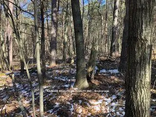 Photo 15 of Sandaraska Road, Clarington, Rural Clarington — HOMEH