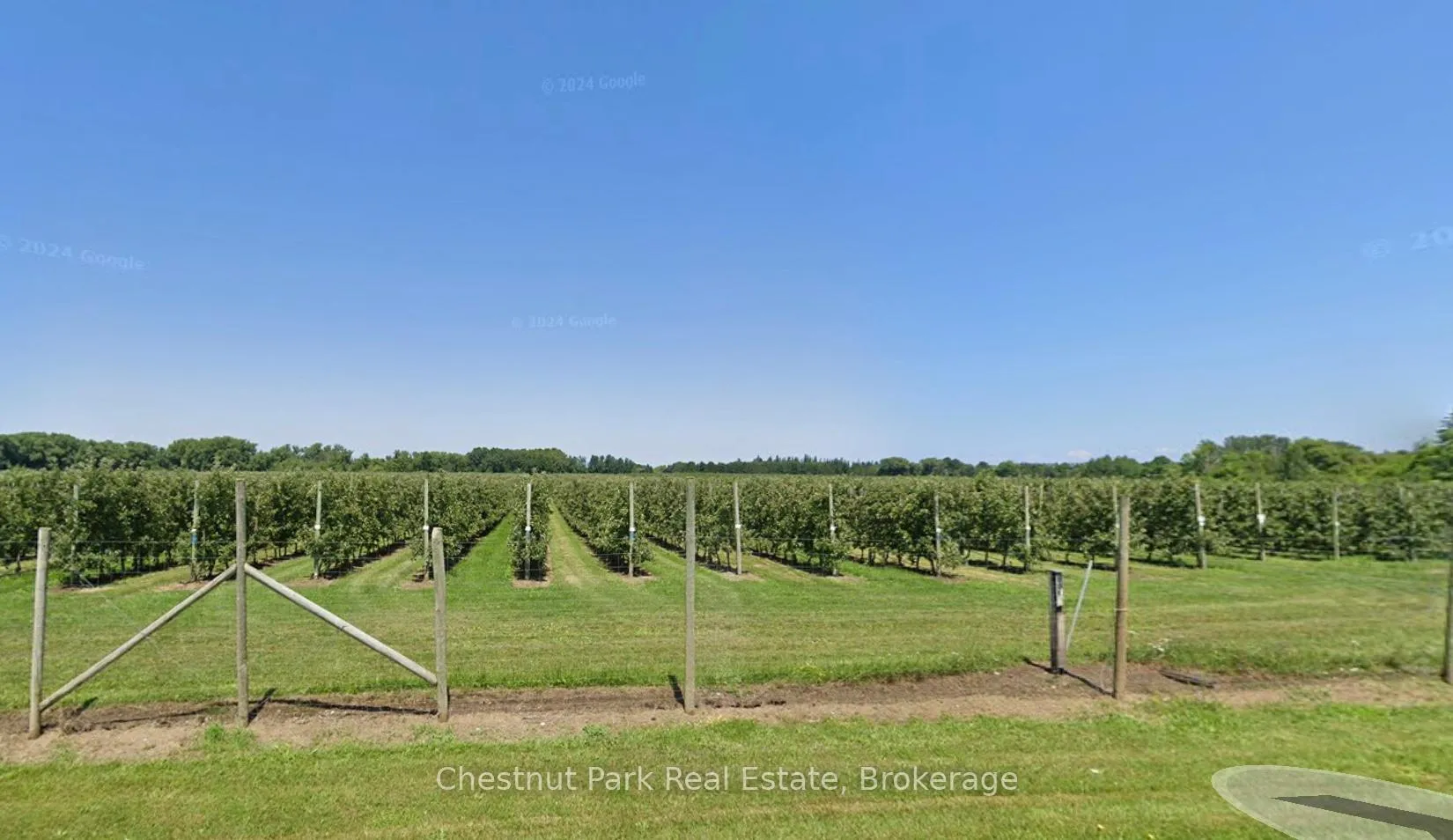 Photo 15 of PT LT 31 Sideroad 30, Blue Mountains — HOMEH