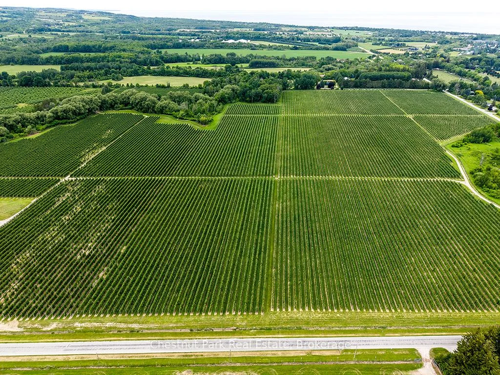 Photo 3 of PT LT 31 Sideroad 30, Blue Mountains — HOMEH