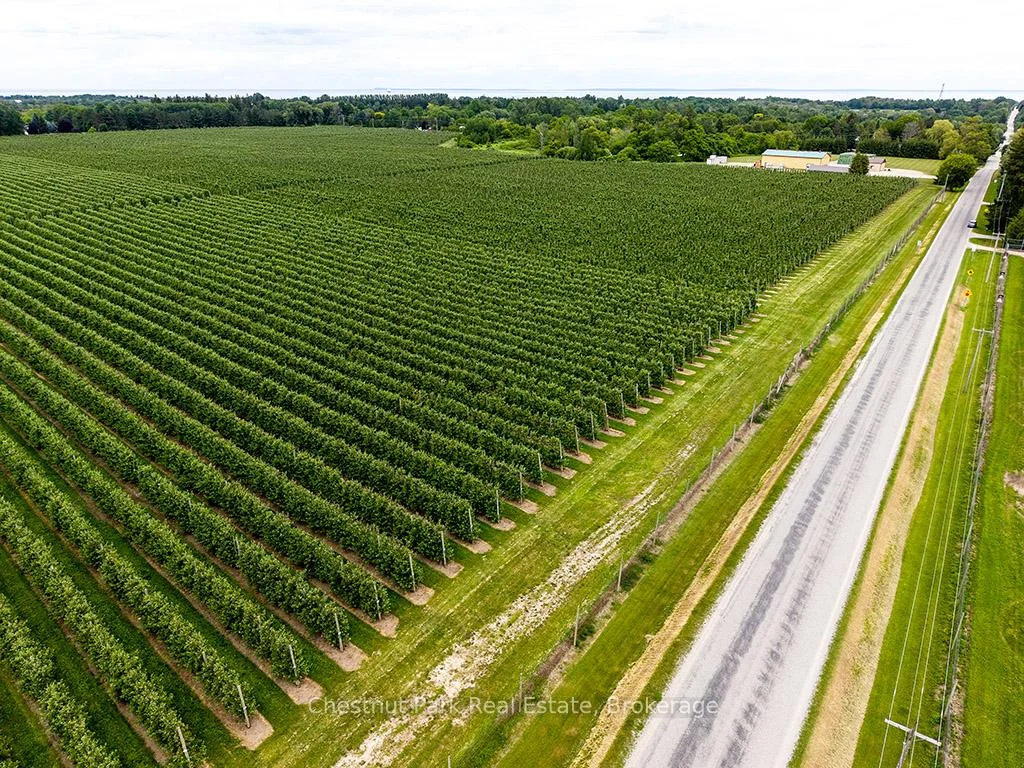 Photo 5 of PT LT 31 Sideroad 30, Blue Mountains — HOMEH