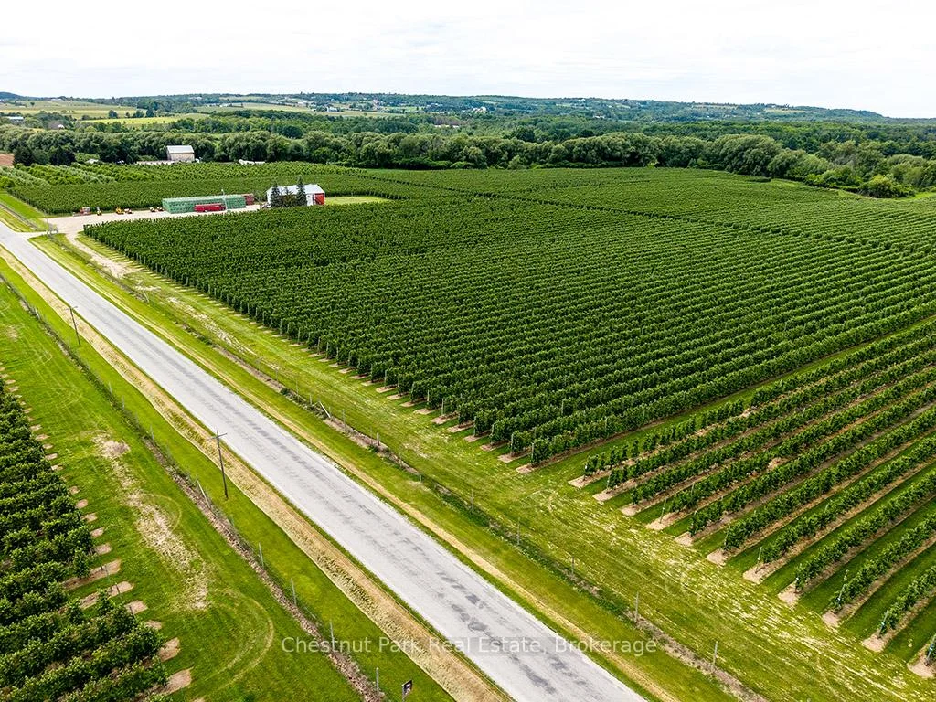 Photo 6 of PT LT 31 Sideroad 30, Blue Mountains — HOMEH