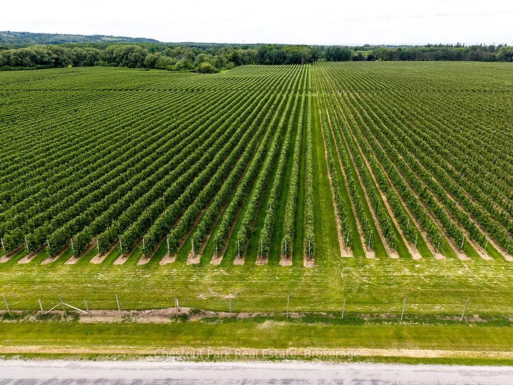 Photo 7 of PT LT 31 Sideroad 30, Blue Mountains — HOMEH