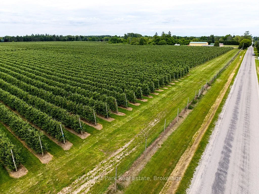 Photo 9 of PT LT 31 Sideroad 30, Blue Mountains — HOMEH
