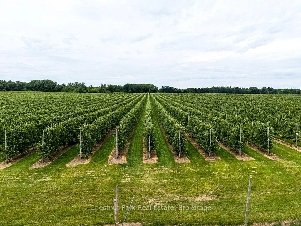 Photo 10 of PT LT 31 Sideroad 30, Blue Mountains — HOMEH