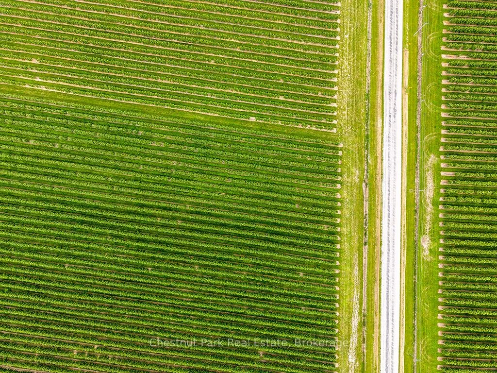 Photo 13 of PT LT 31 Sideroad 30, Blue Mountains — HOMEH