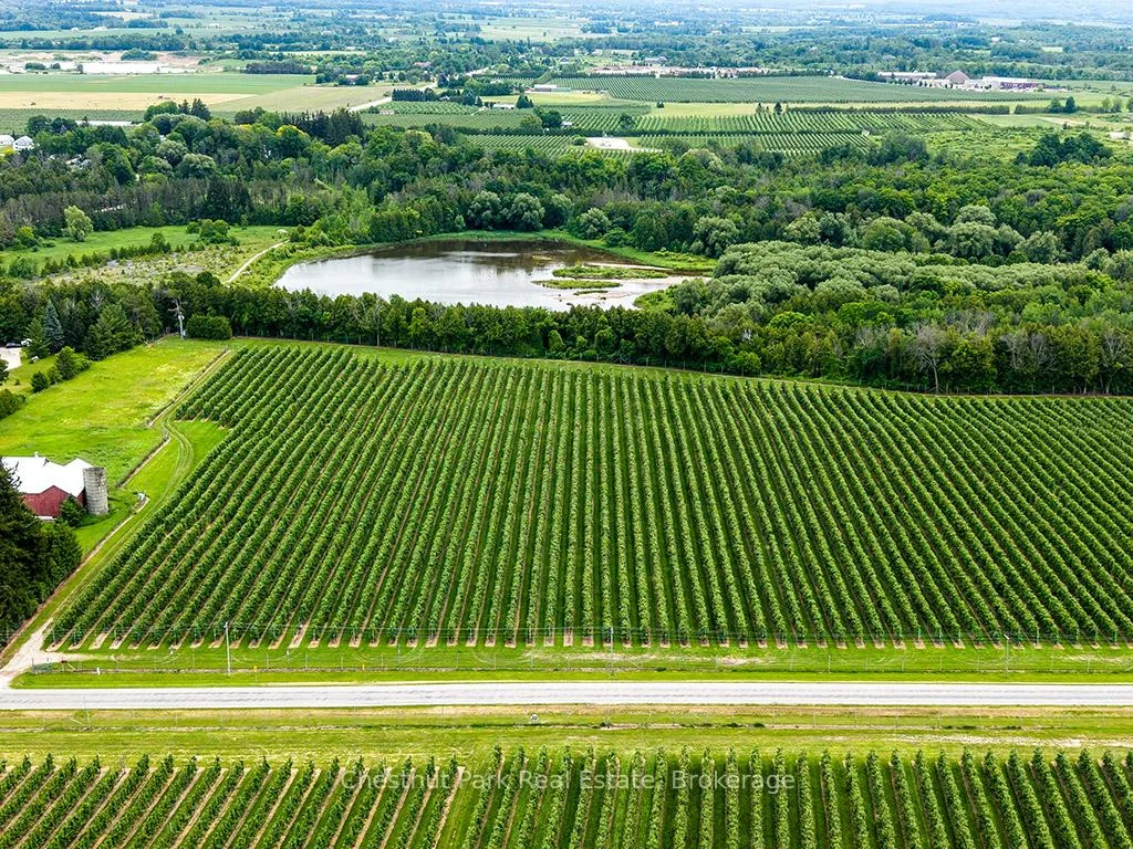 Photo 14 of PT LT 31 Sideroad 30, Blue Mountains — HOMEH