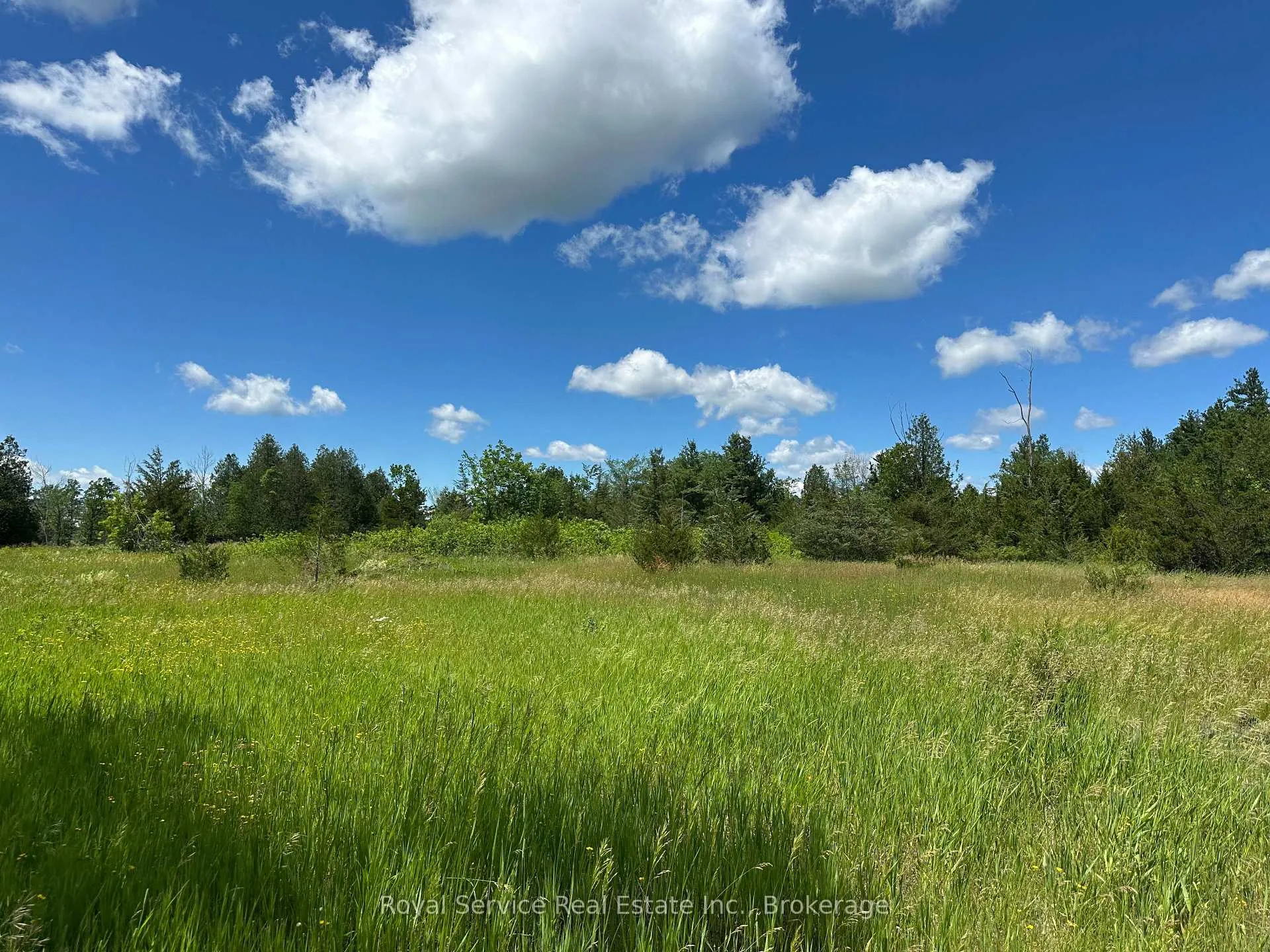Photo of 1794 springbrook Road