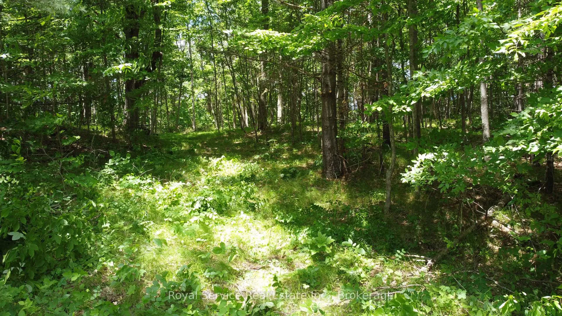 Photo 2 of 1794 springbrook Road, Stirling-Rawdon, Rawdon Ward — HOMEH