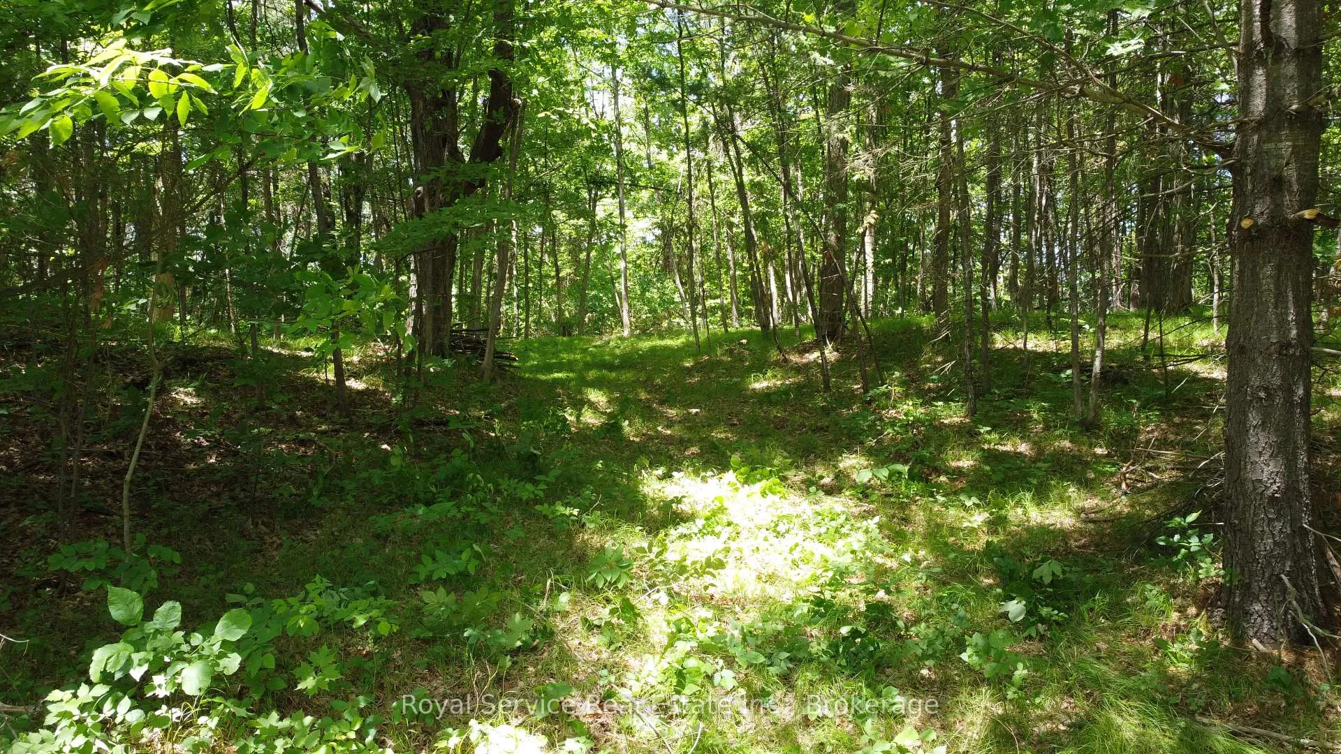Photo 22 of 1794 springbrook Road, Stirling-Rawdon, Rawdon Ward — HOMEH