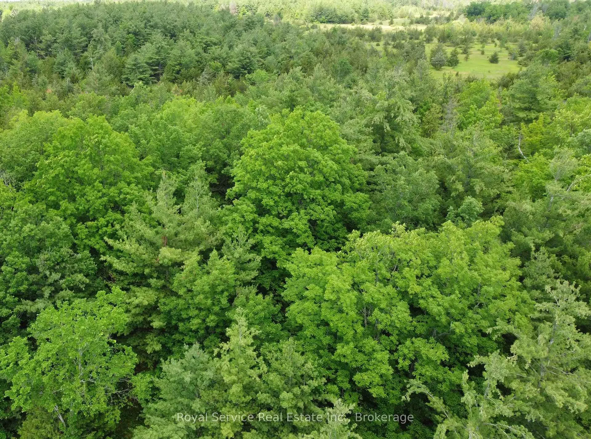 Photo 24 of 1794 springbrook Road, Stirling-Rawdon, Rawdon Ward — HOMEH