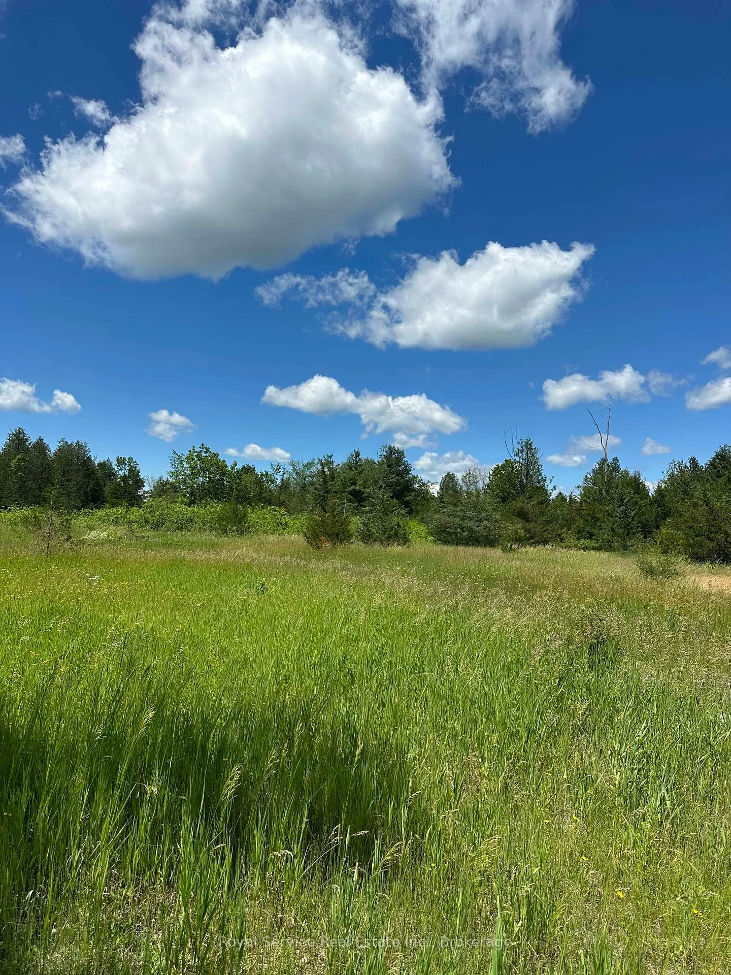 Photo 25 of 1794 springbrook Road, Stirling-Rawdon, Rawdon Ward — HOMEH