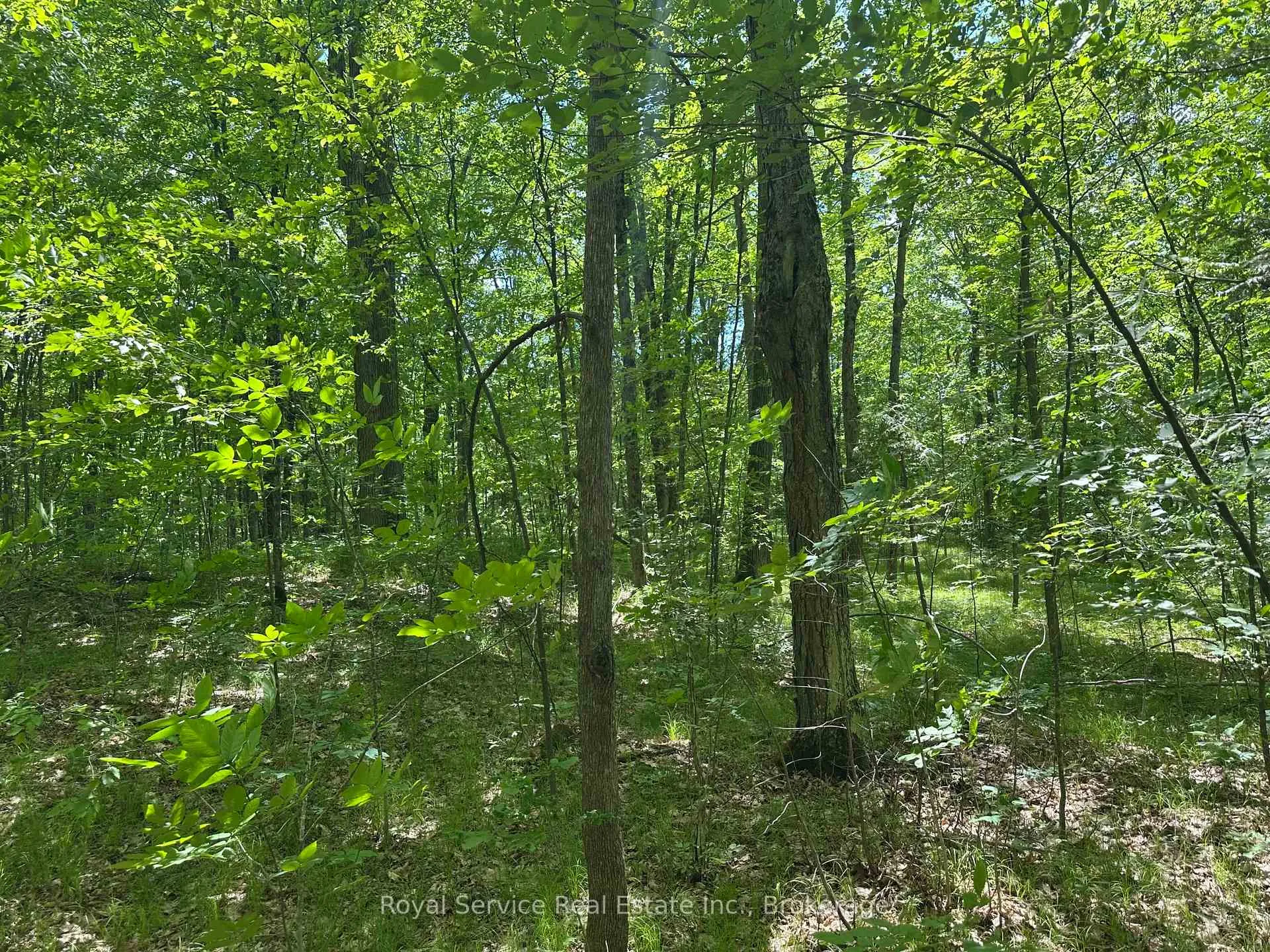 Photo 29 of 1794 springbrook Road, Stirling-Rawdon, Rawdon Ward — HOMEH