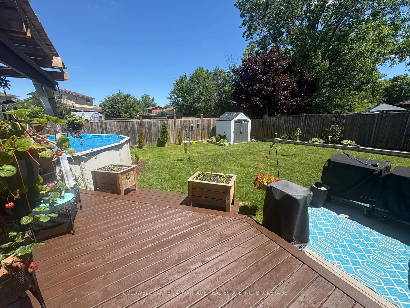 Photo 21 of 114 Calla Terrace, Welland, Prince Charles — HOMEH