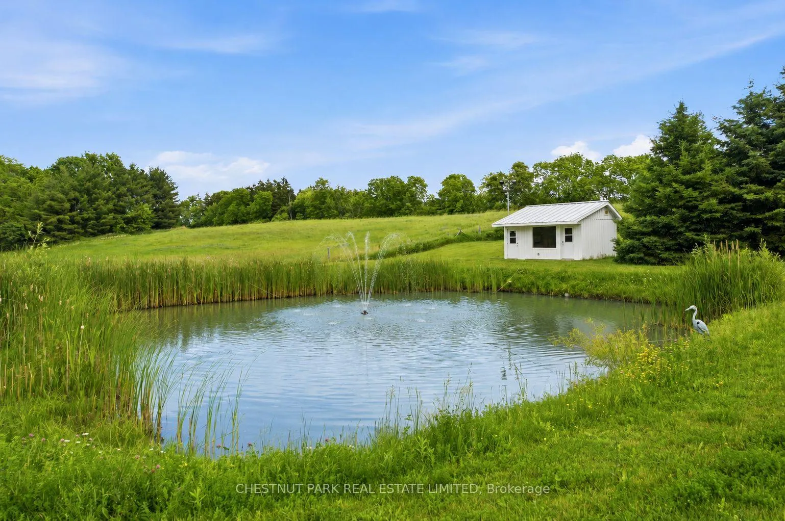 Photo 44 of 6115 Guelph Line, Burlington, Rural Burlington — HOMEH