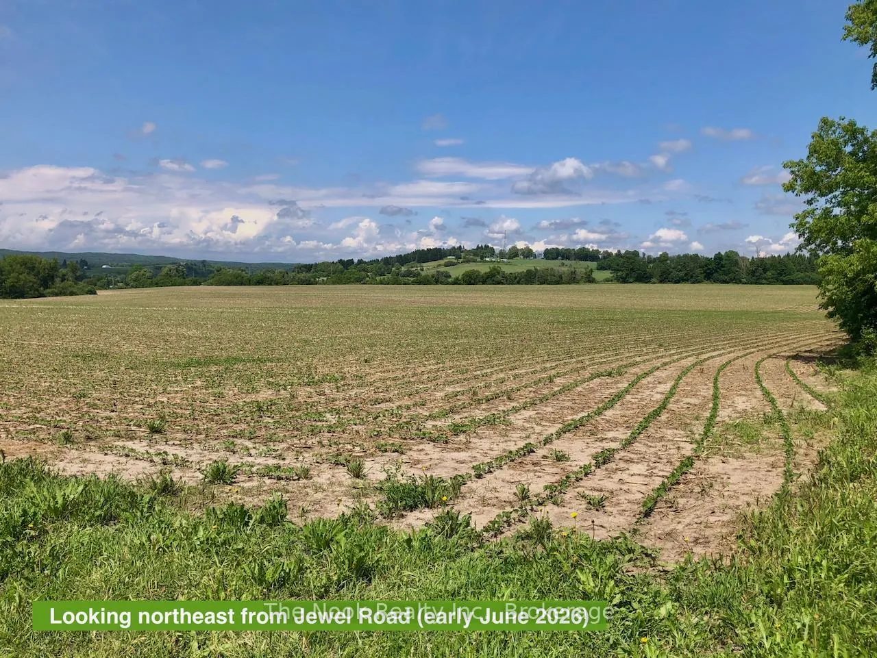 Photo 10 of 3908 Regional Rd 9, Clarington, Rural Clarington — HOMEH