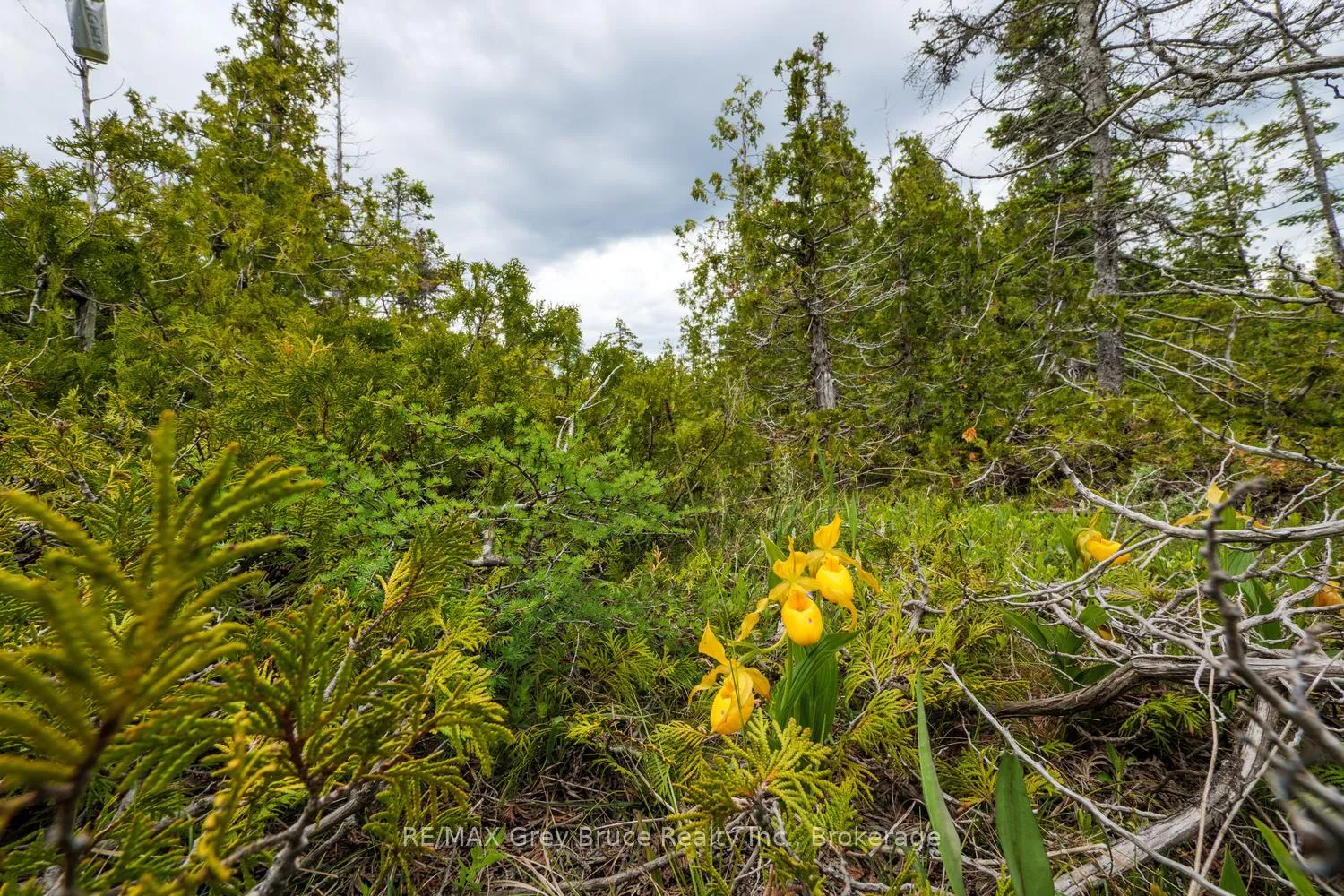 Photo 12 of 149 Robert Allen Drive, Northern Bruce Peninsula — HOMEH