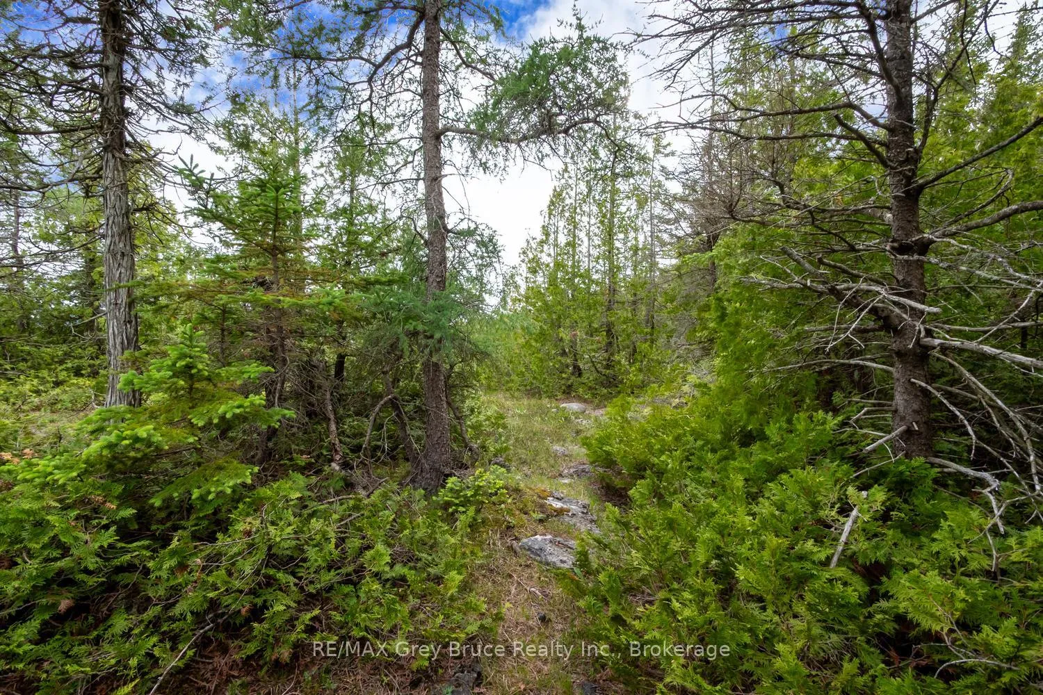 Photo 25 of 149 Robert Allen Drive, Northern Bruce Peninsula — HOMEH