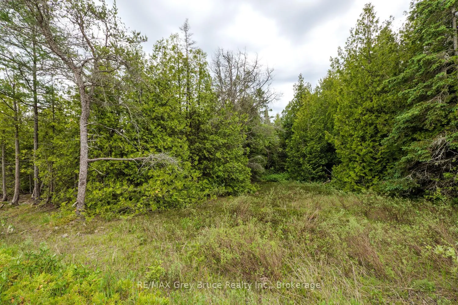 Photo 43 of 149 Robert Allen Drive, Northern Bruce Peninsula — HOMEH