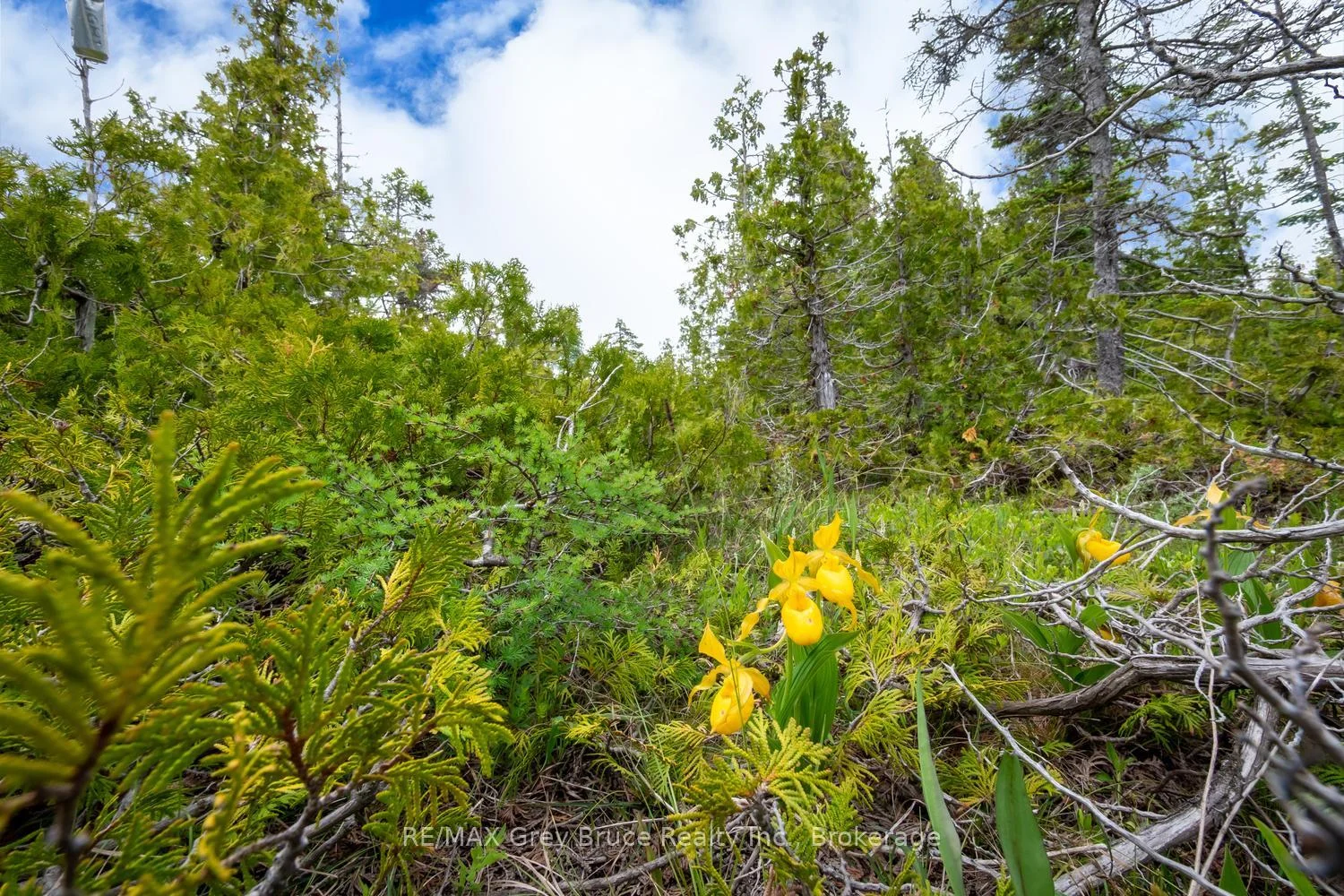Photo 61 of 149 Robert Allen Drive, Northern Bruce Peninsula — HOMEH