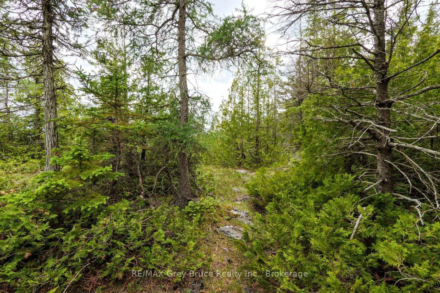 Photo 84 of 149 Robert Allen Drive, Northern Bruce Peninsula — HOMEH
