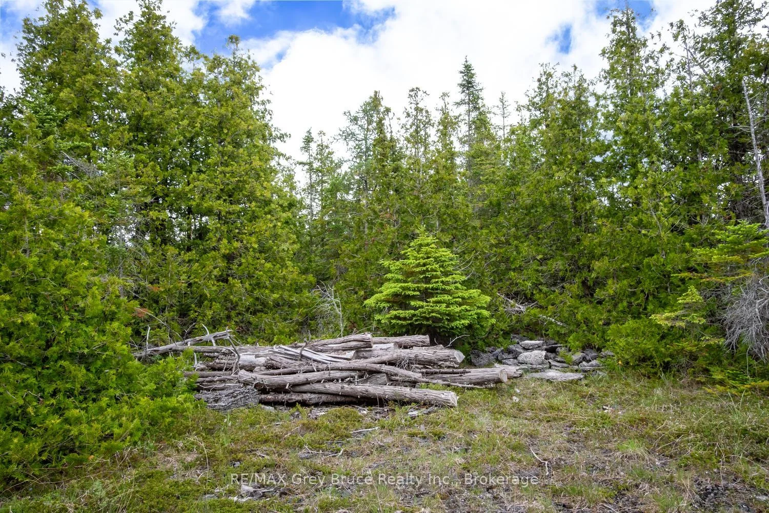 Photo 94 of 149 Robert Allen Drive, Northern Bruce Peninsula — HOMEH