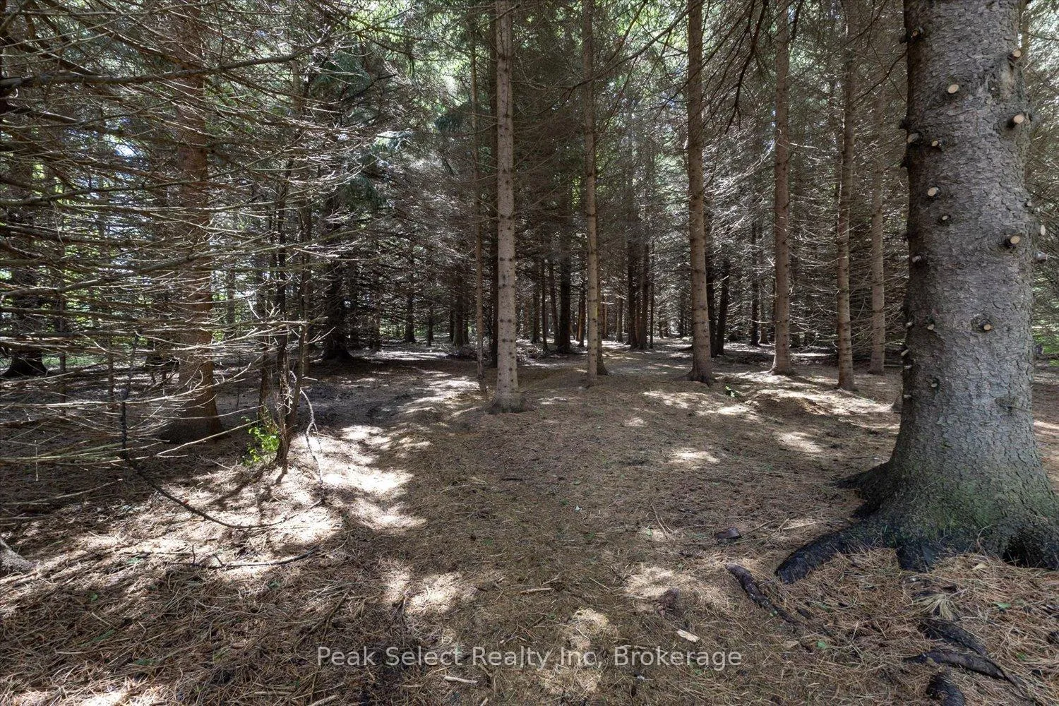 Photo 44 of 3974 15 Line, Perth South, Downie — HOMEH