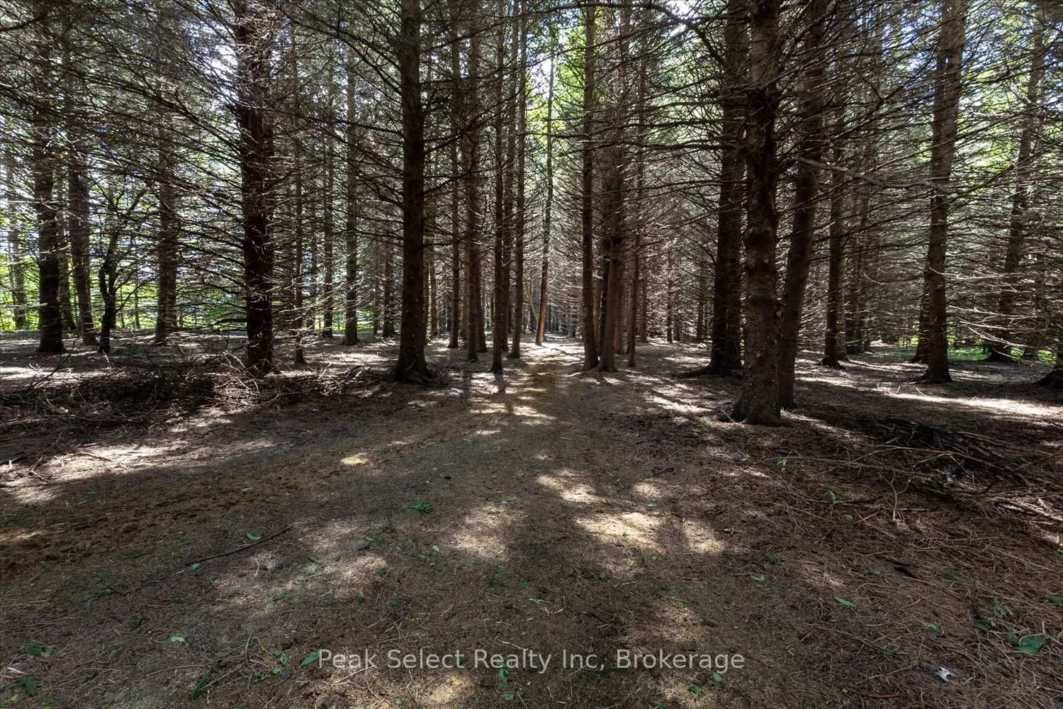 Photo 45 of 3974 15 Line, Perth South, Downie — HOMEH