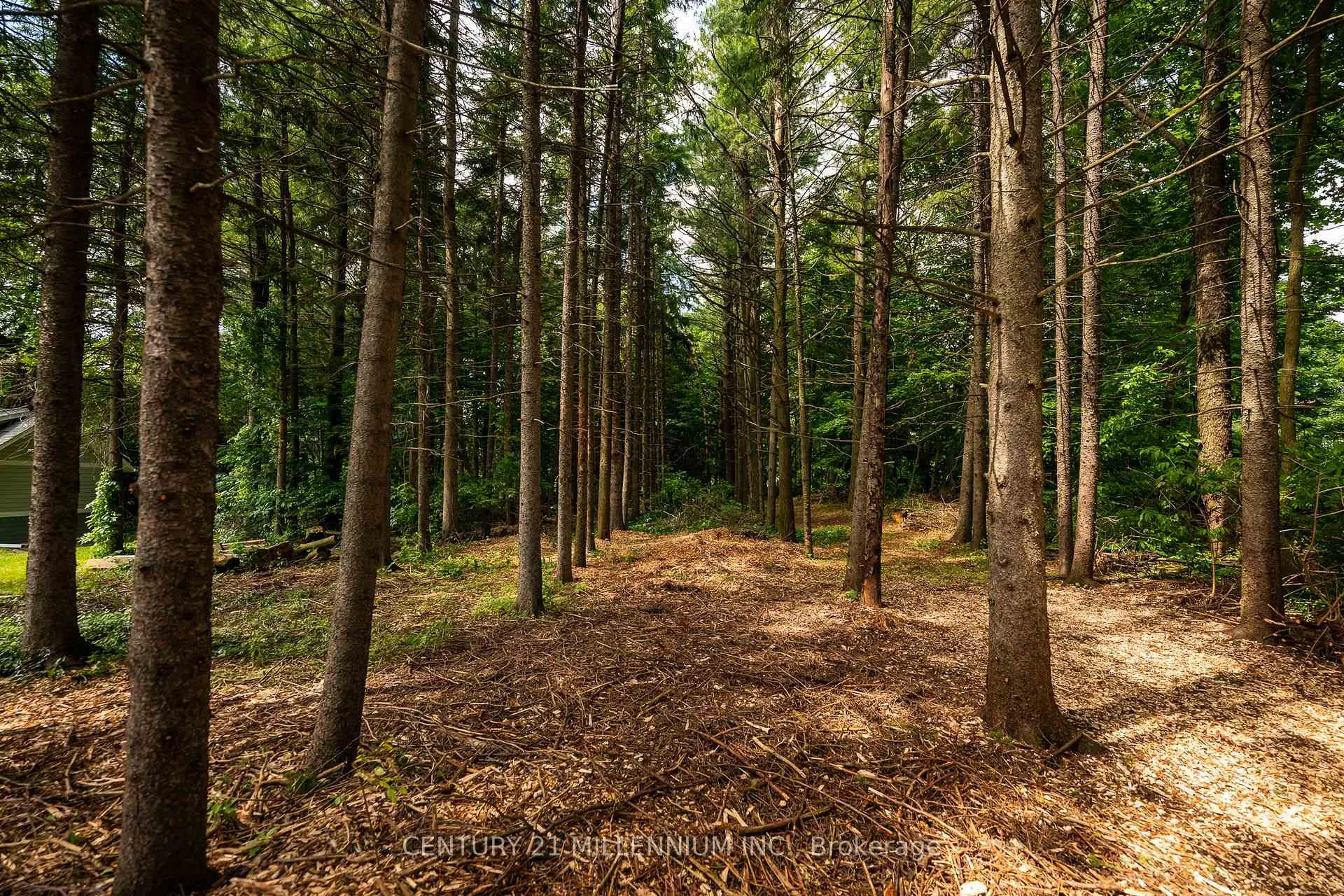 Photo 14 of 24 Buena Vista Drive, Mono, Rural Mono — HOMEH